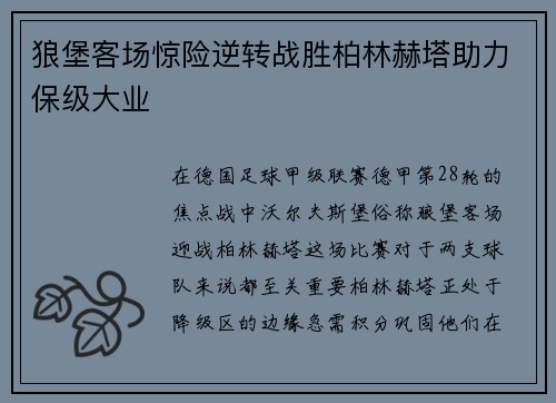 狼堡客场惊险逆转战胜柏林赫塔助力保级大业